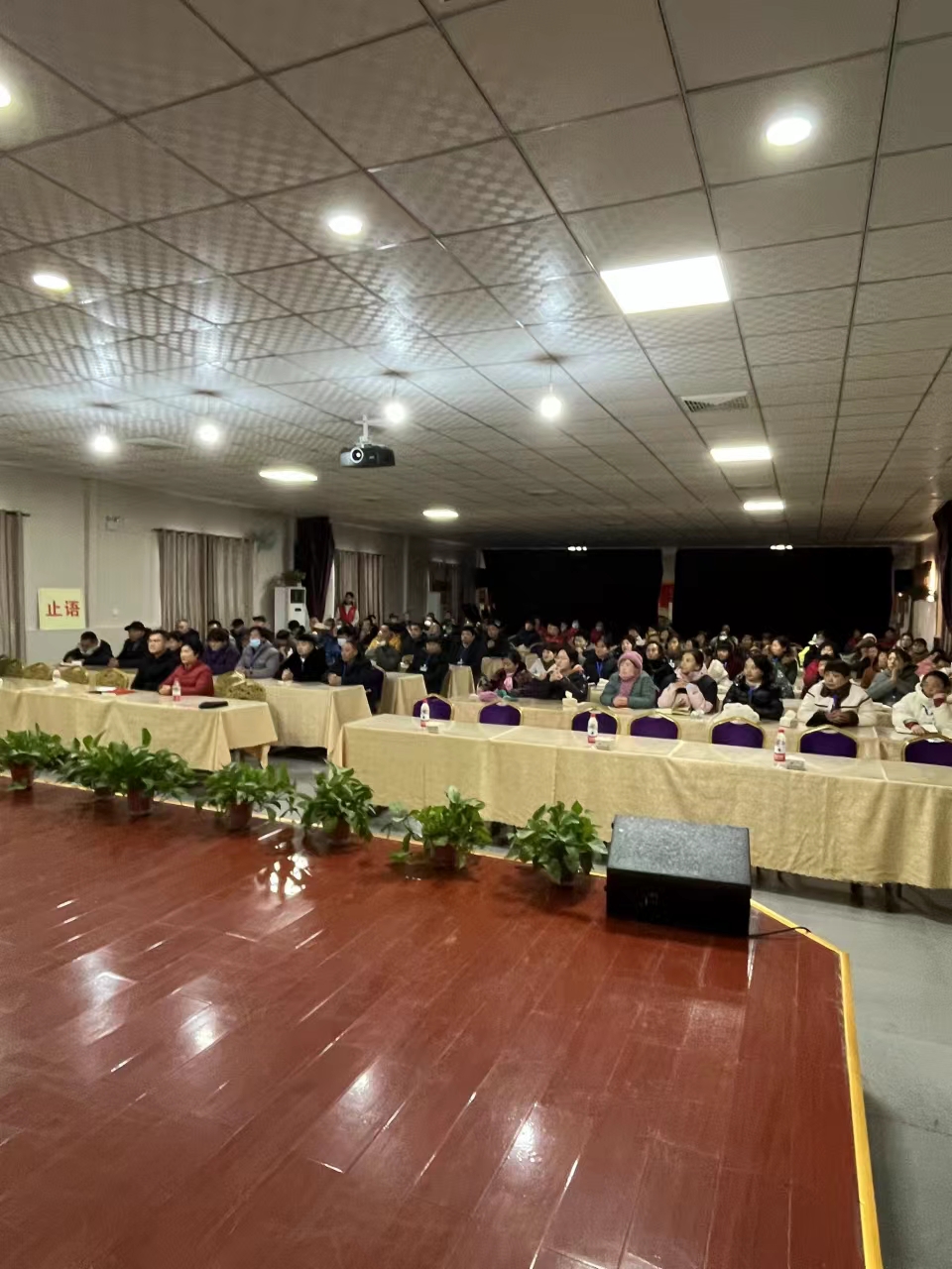 5a5e475fb4c156b9c33de22ada06258.jpg